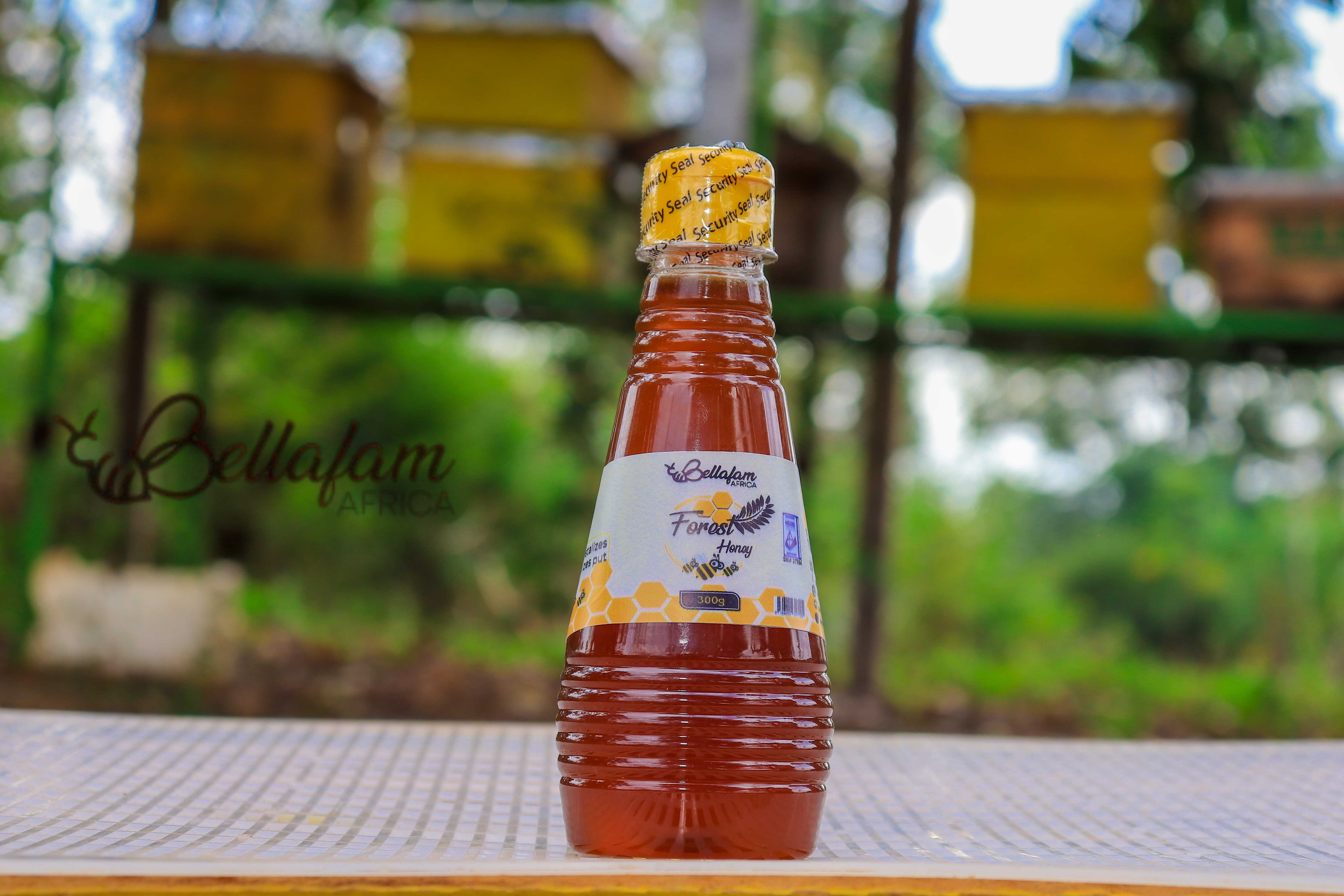Forest Honey (300g)