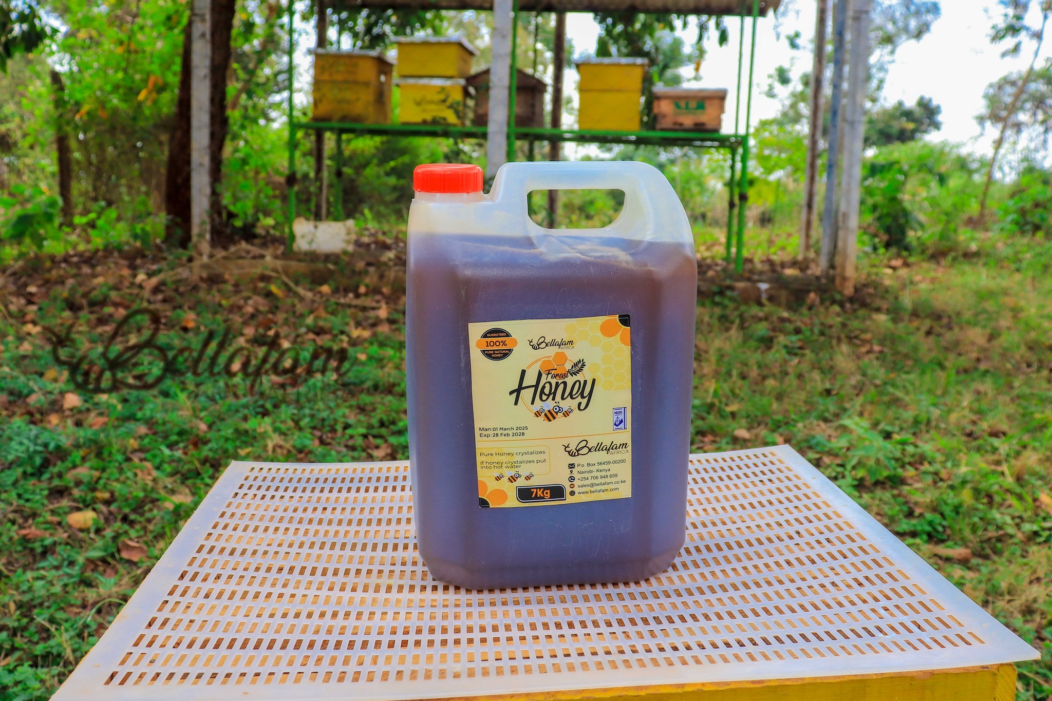 7Kg Honey